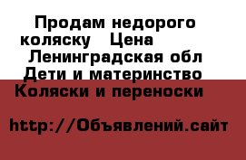 Продам недорого  коляску › Цена ­ 1 000 - Ленинградская обл. Дети и материнство » Коляски и переноски   